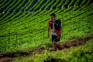 BIB: 126
                            <button type="button" onclick="openModal(19160775)" class="btn btn-primary btn-sm float-right btn-popup" data-toggle="modal" data-target=".modal-high-quality">
                        <i class="fas fa-shopping-cart"></i> Add to Cart
                    </button>
                                            <button type="button" onclick="isThisMe(19160775, true)" class="btn btn-success btn-sm float-right btn-popup btn-isme hidden" data-toggle="tooltip" data-placement="bottom" title="นี่คือรูปของคุณใช่ไหม คลิกที่นี่เพื่อเอาเข้าอัลบั้ม">
                        <i class="fas fa-plus"></i> Add to album
                    </button>
                    <button type="button" onclick="isThisMe(19160775, false)" class="btn btn-warning btn-sm float-right btn-popup btn-isnotme hidden">
                        <i class="fas fa-ban"></i> Remove from album
                    </button>